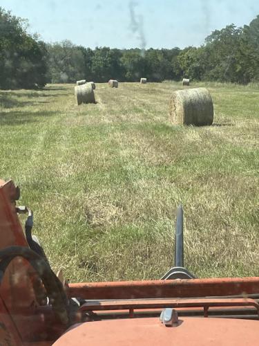 10 Hay Production