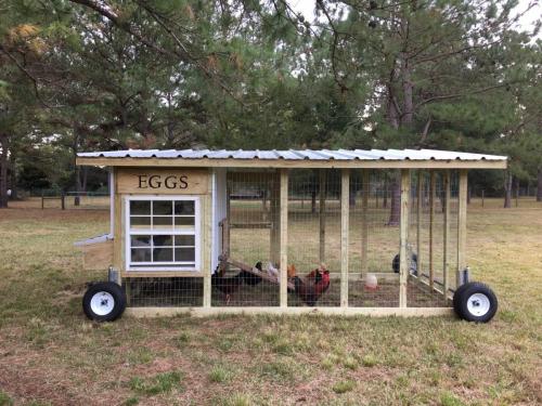 5 Chicken Tractor (1)