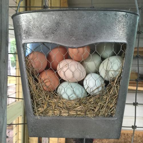 7 Eggs