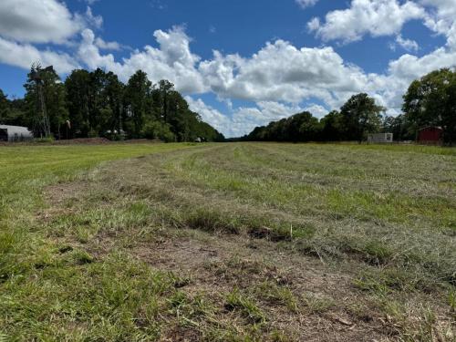 Hay Field