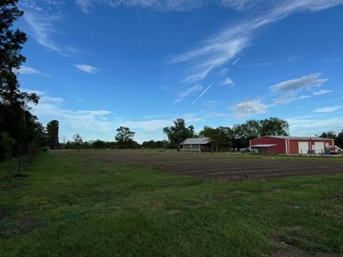 View of Future Garden Area